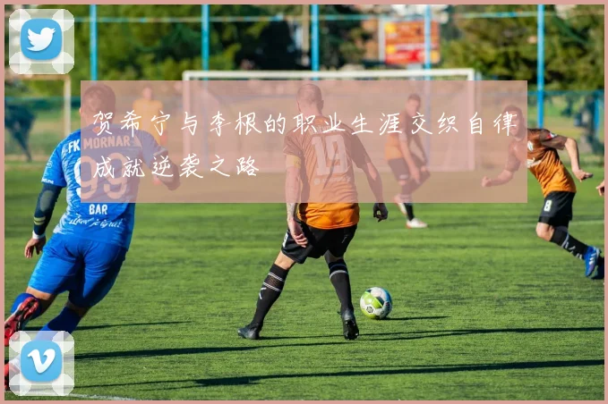 贺希宁与李根的职业生涯交织自律成就逆袭之路